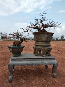 Tác phẩm dự thi tại cuộc triễn lãm