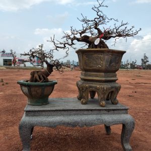 Tác phẩm dự thi tại cuộc triễn lãm